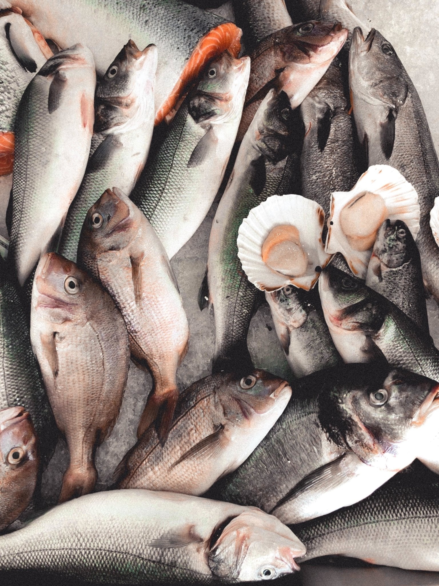 Fresh Fish | S&J Fisheries