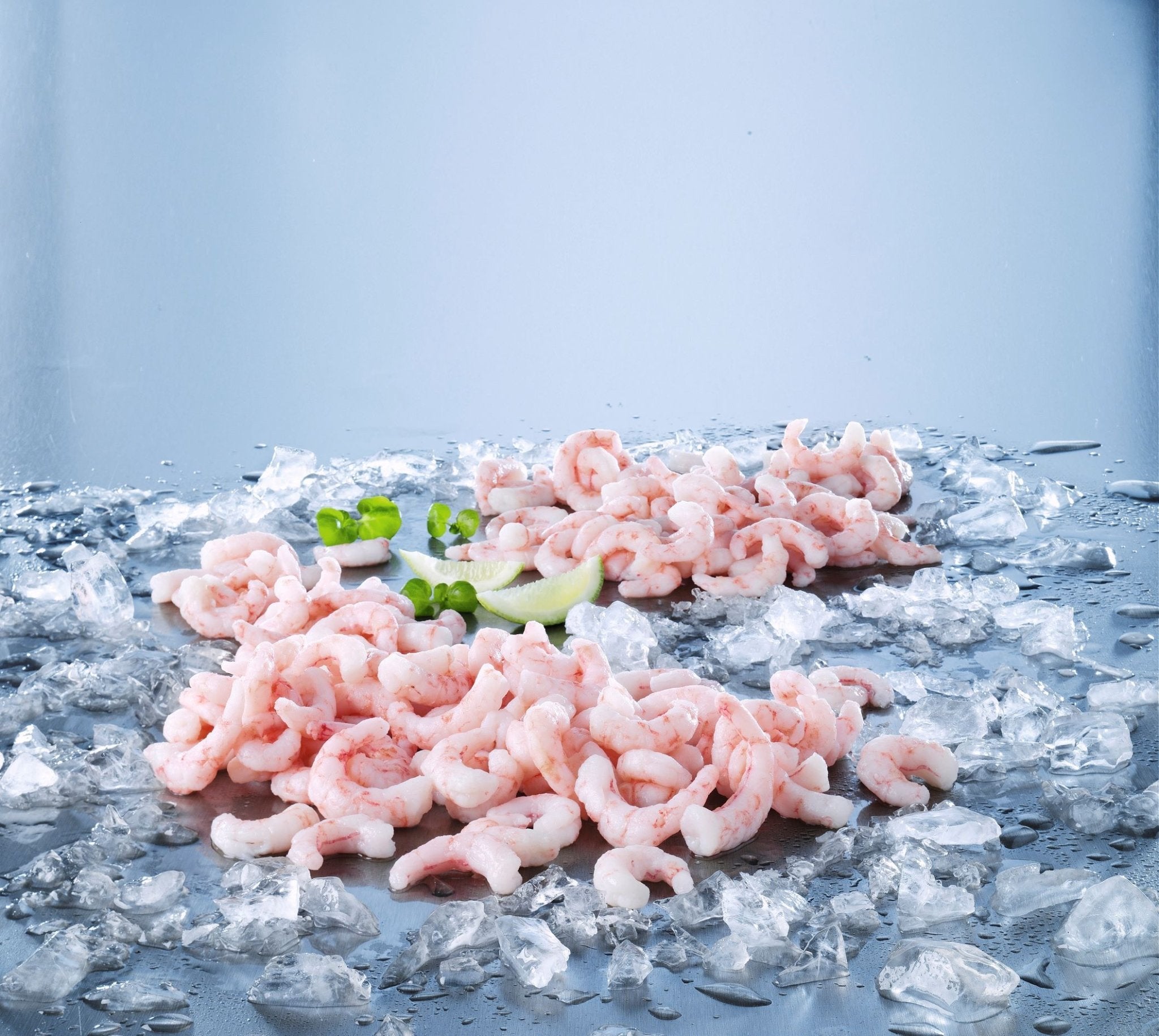 Frozen Prawns & Shellfish | S&J Fisheries