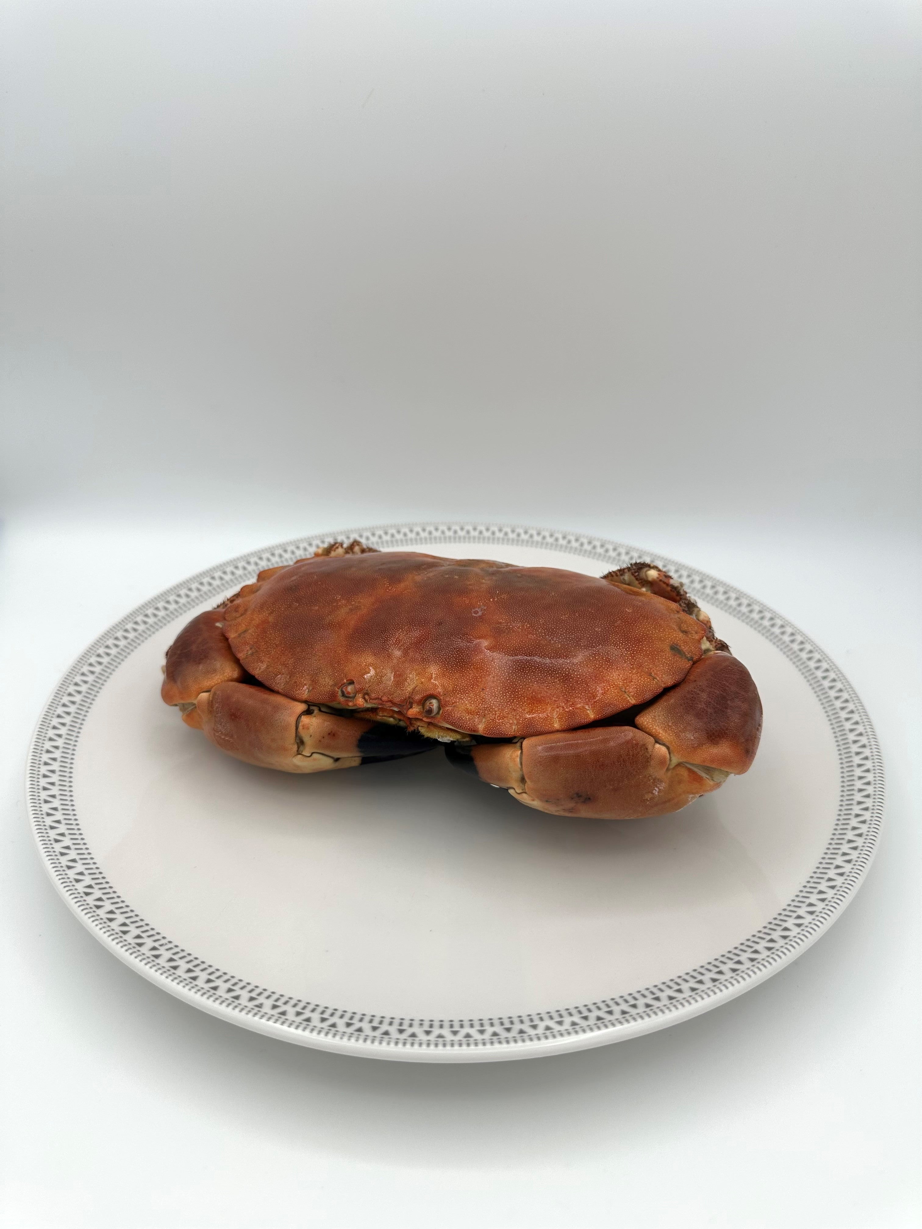 Whole Cooked Crab