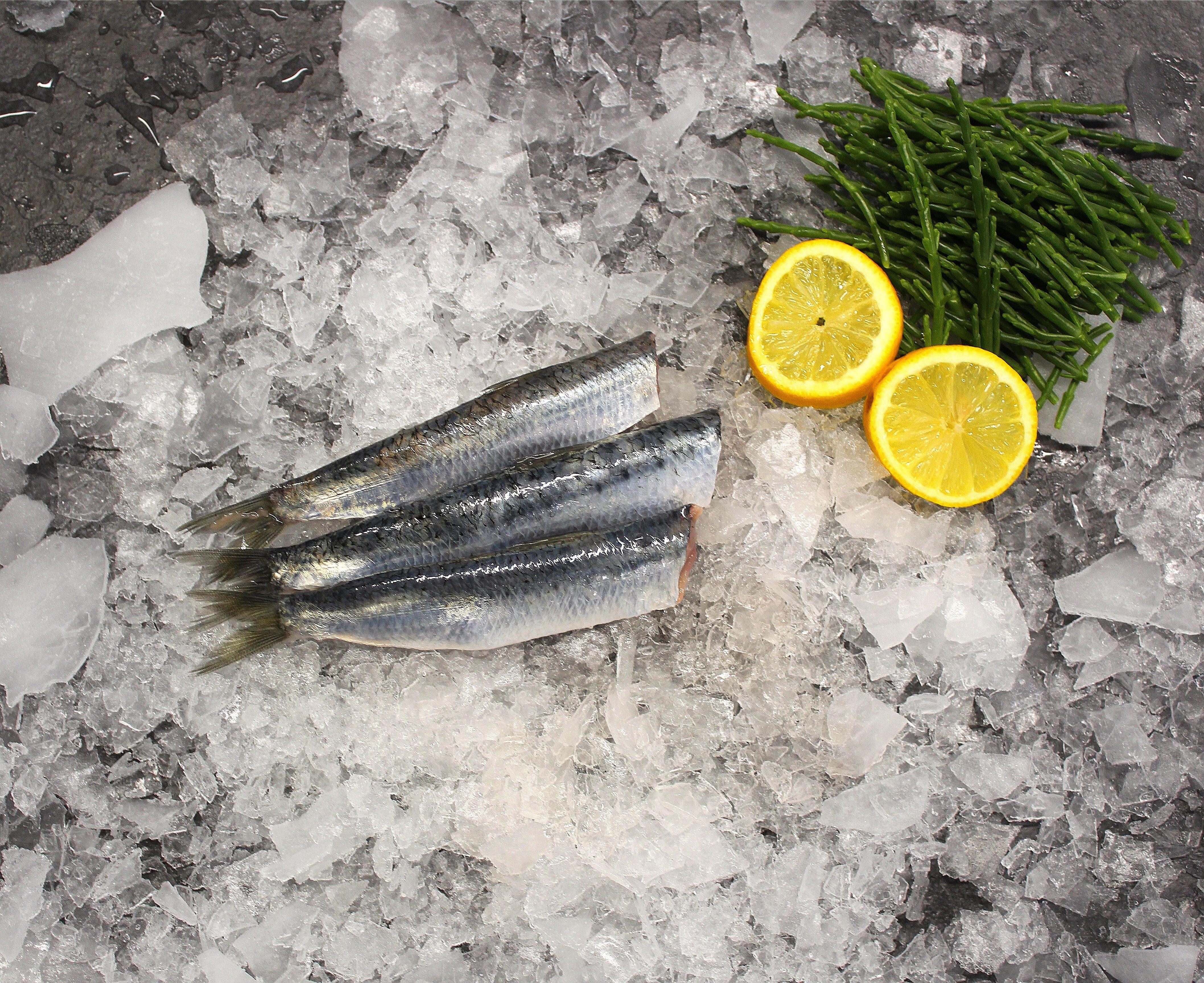 Fresh Sardines