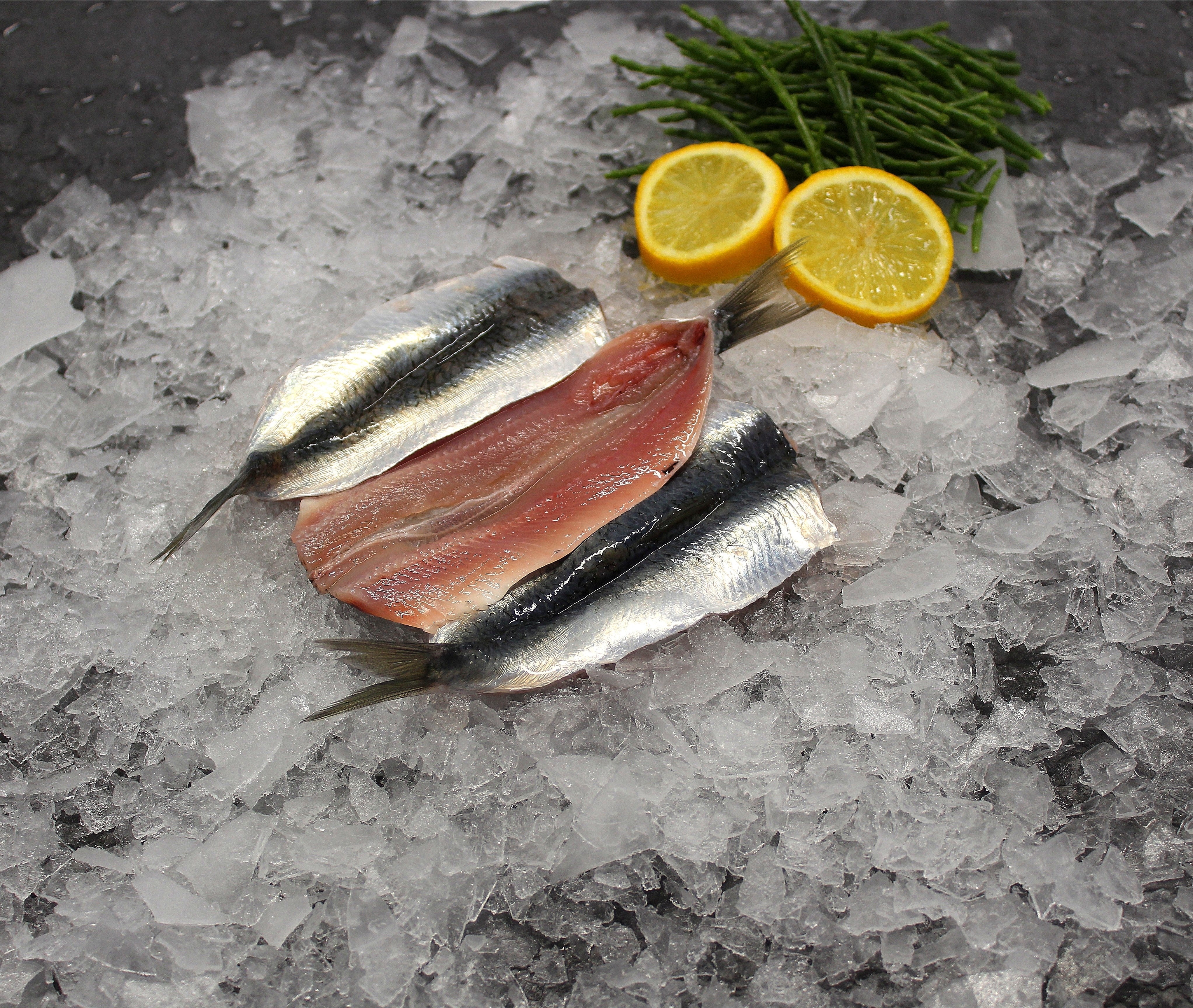 Fresh Sardines