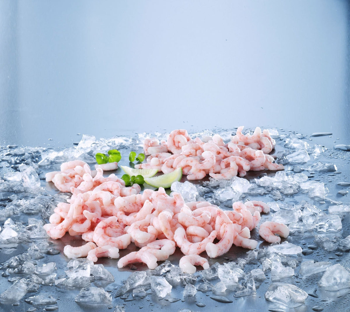 Frozen Prawns & Shellfish – S&J Fisheries