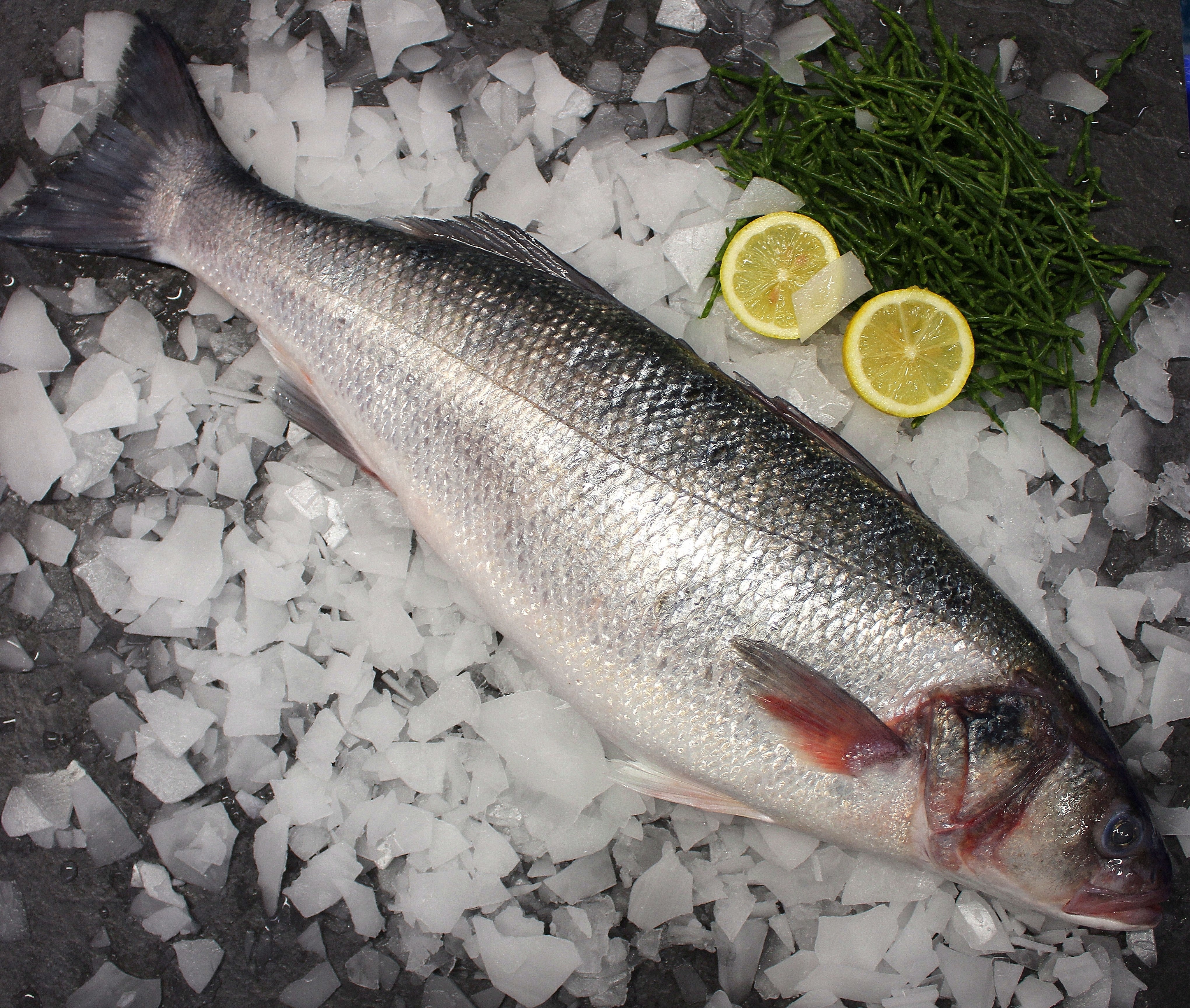 Wild Sea Bass Fillets (2no)