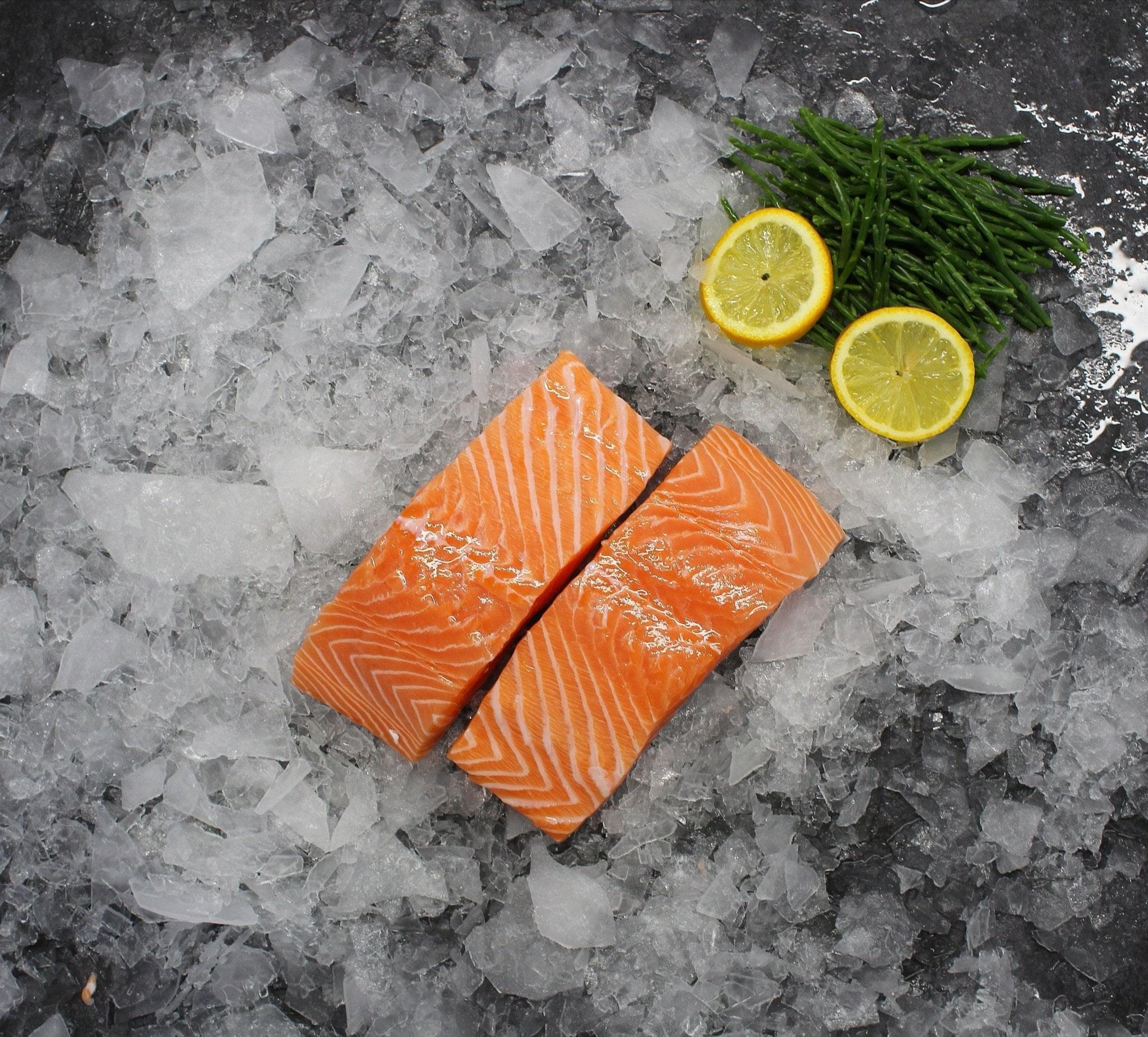 Fresh Salmon