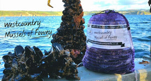 Fresh Westcountry Mussels