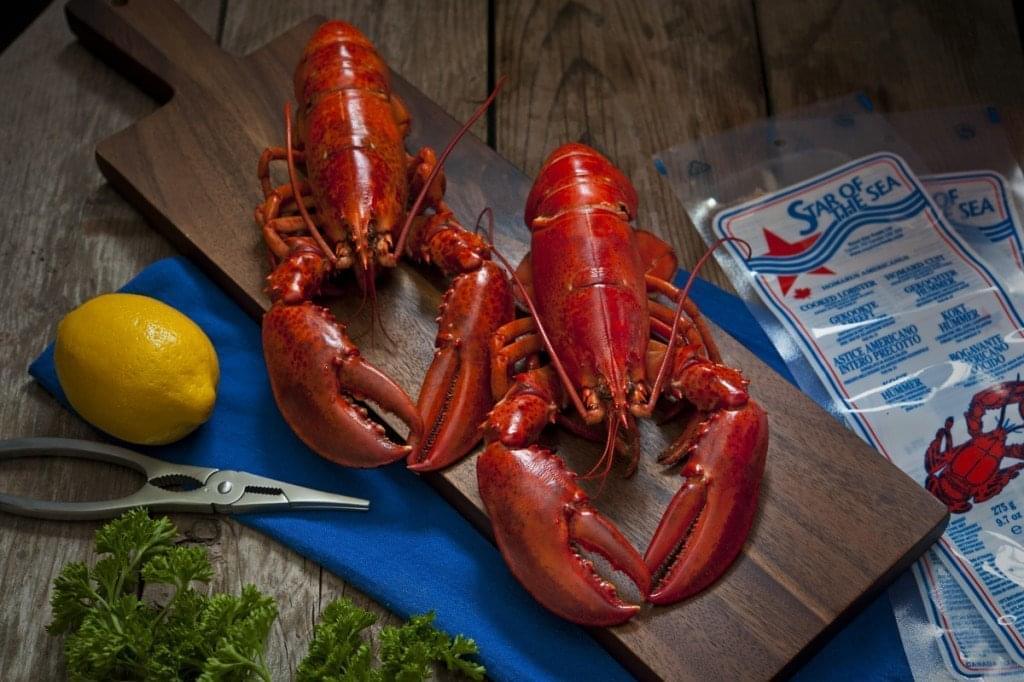 Frozen Cooked Lobster (Whole)