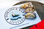 Load image into Gallery viewer, Live Rock Oyster (1no) - S&amp;J Fisheries
