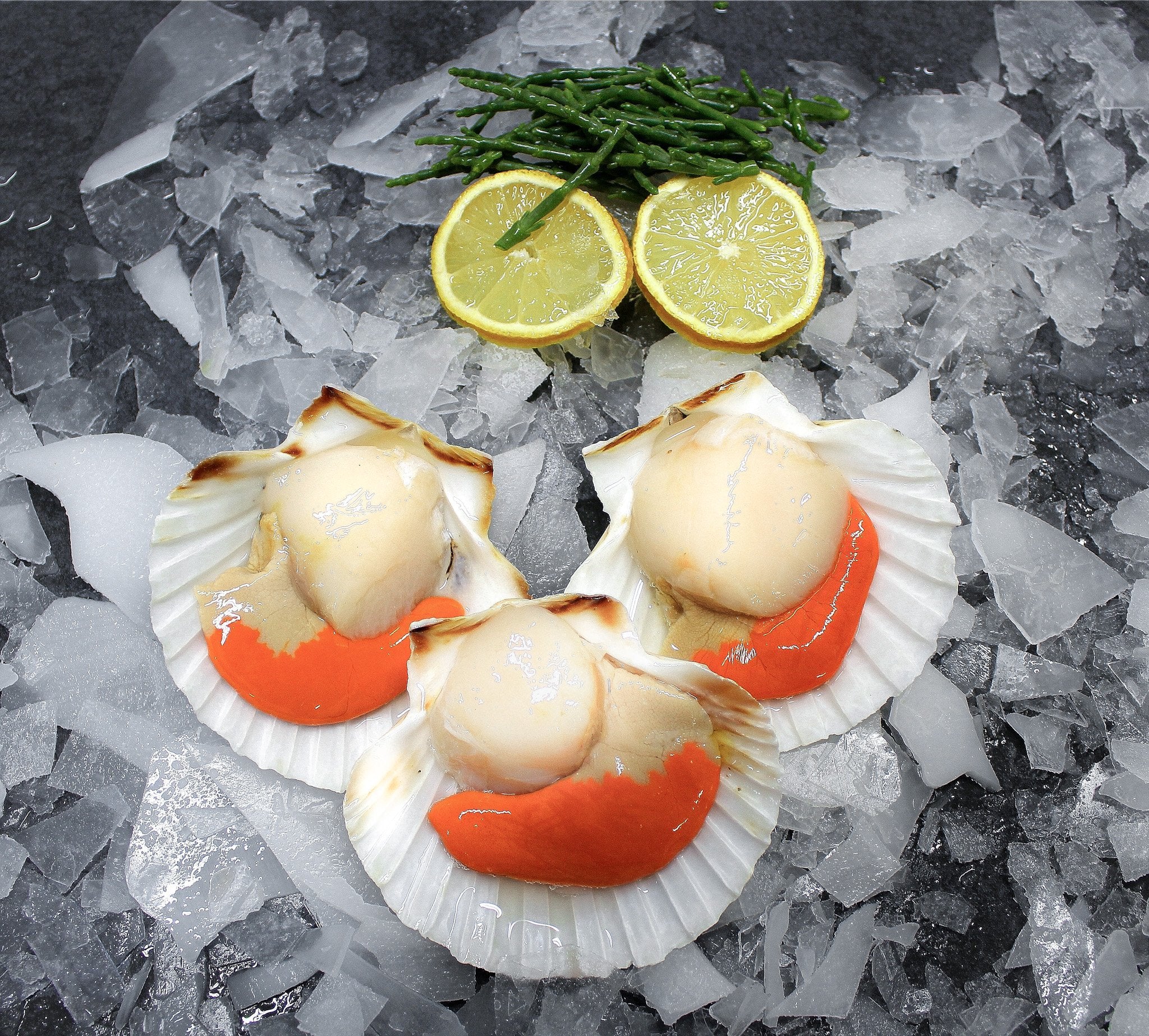 Local Scallops - S&J Fisheries