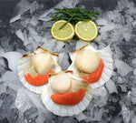 Load image into Gallery viewer, Local Scallops - S&amp;J Fisheries
