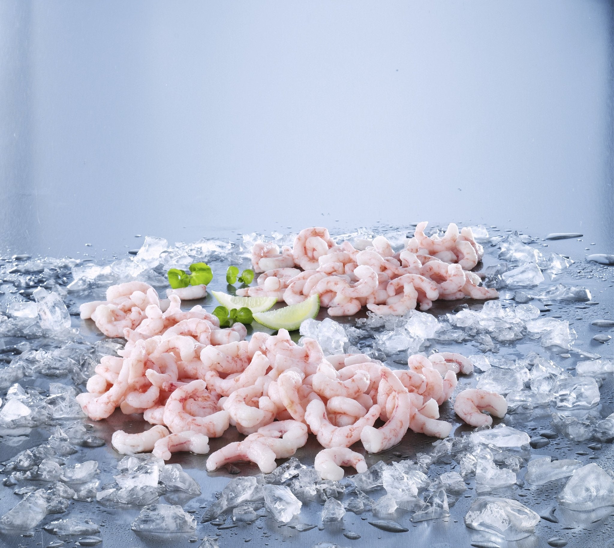 Mini Christmas Cracker Box! - S&J Fisheries