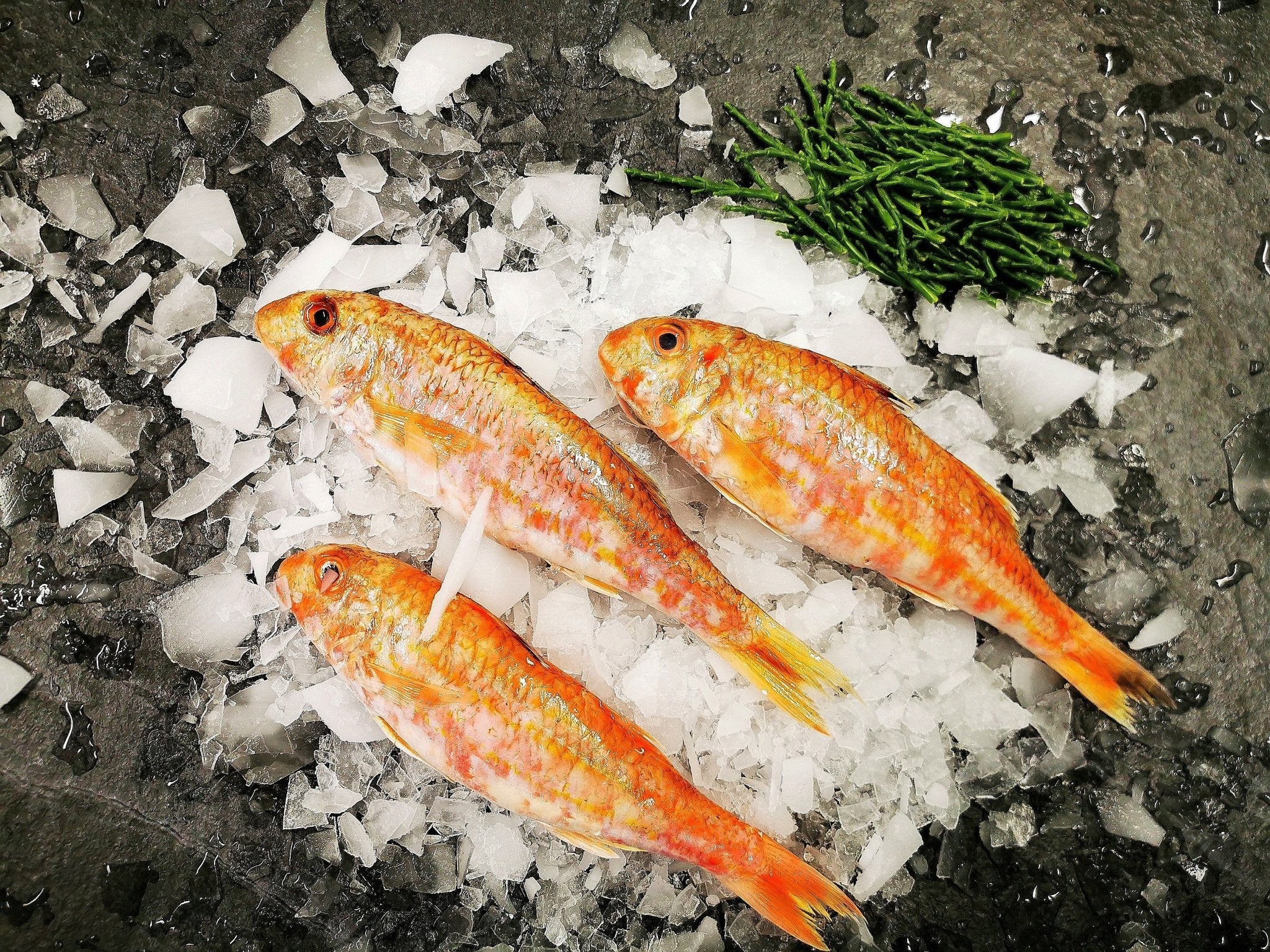 Red Mullet - S&J Fisheries
