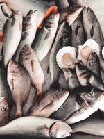 Load image into Gallery viewer, Wild Sea Bass Fillets (2no) - S&amp;J Fisheries

